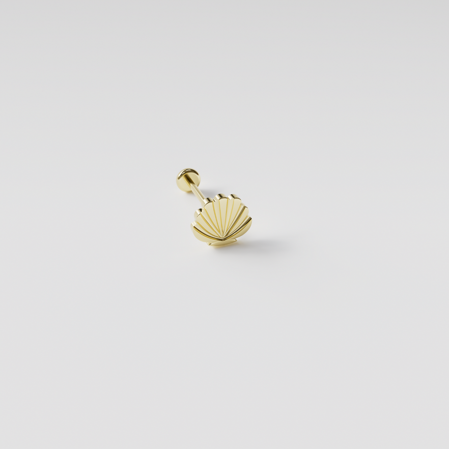 deniz kabuğu piercing