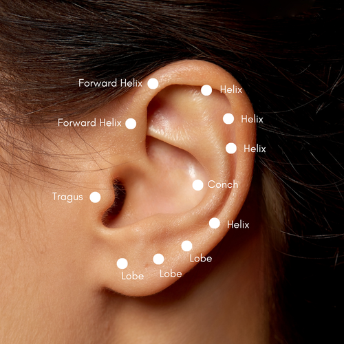 Kulaktaki Piercing Bölgeleri